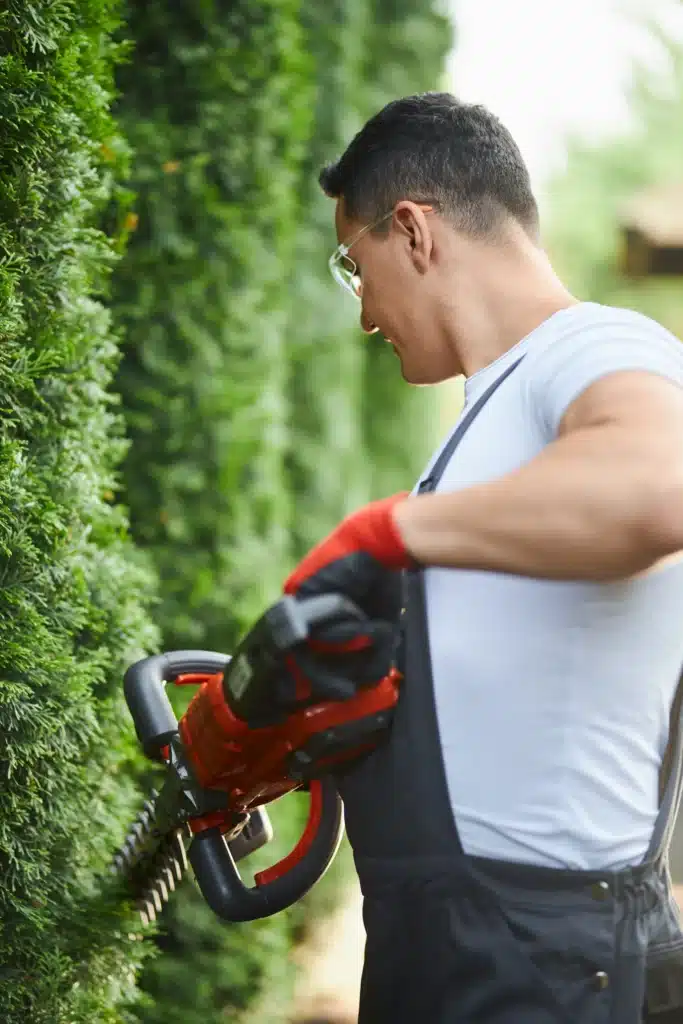 entretien de jardin Saint-Nicolas-Lez-Arras