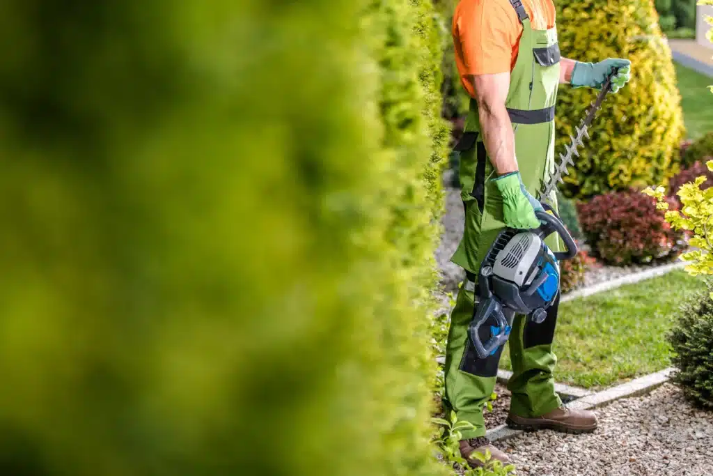 entretien des massifs à Dainville