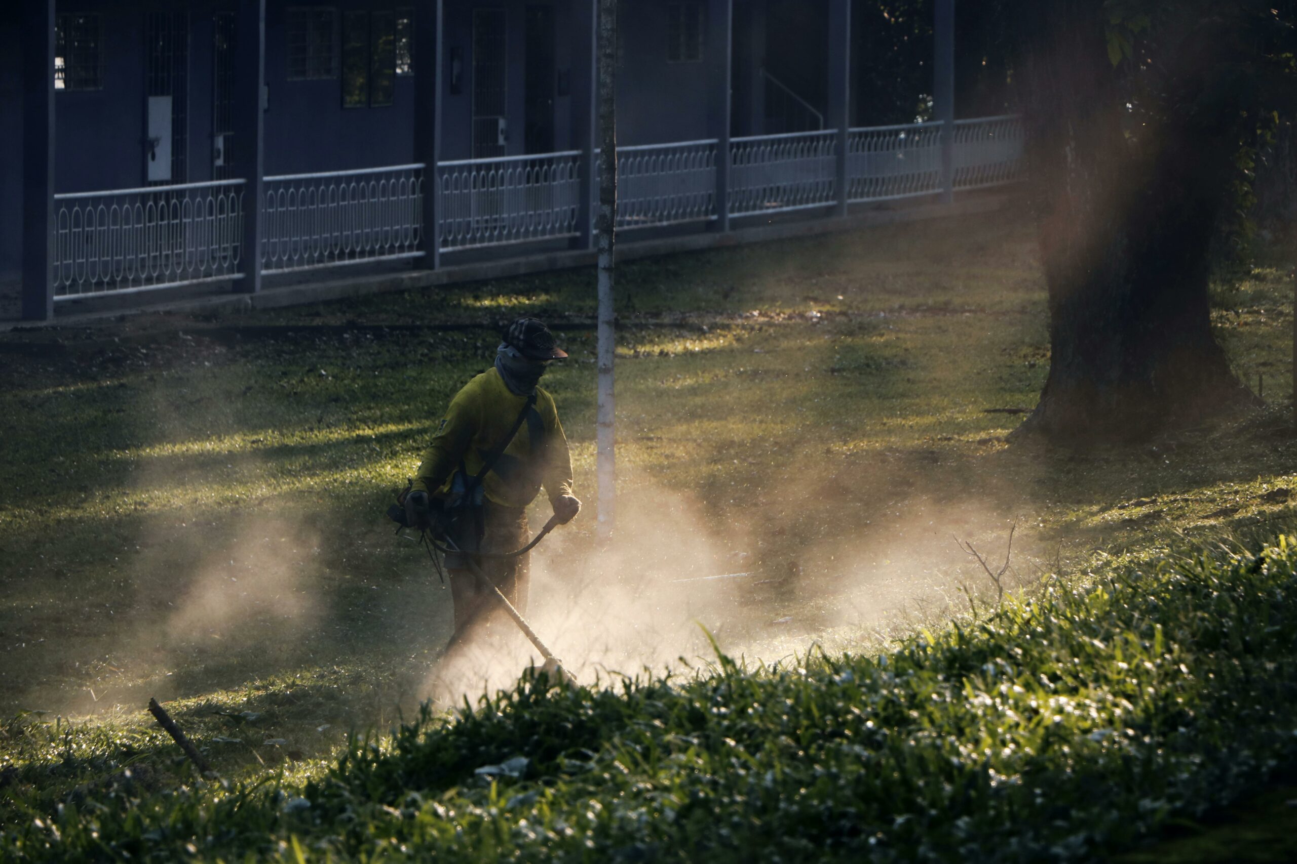 Entreprise pour un entretien de jardin soigné à Abbeville