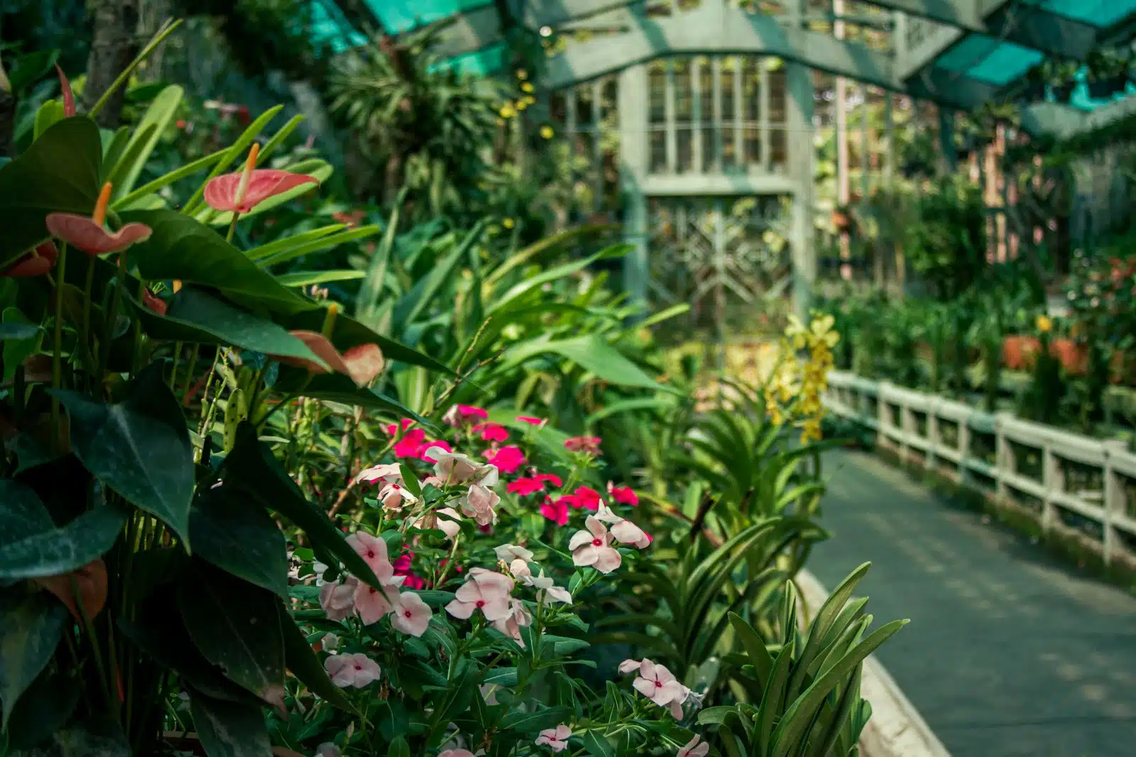 Jardinier et paysagiste incontournable à Abbeville
