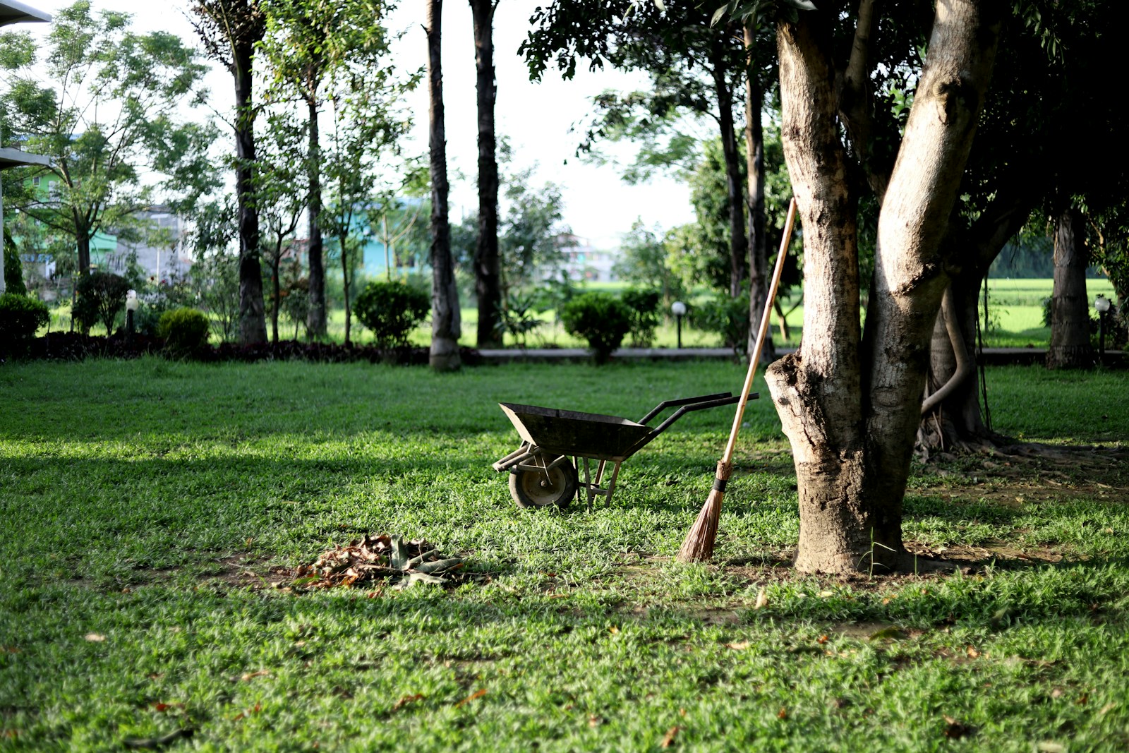 entretien de jardin soigné à Abbeville