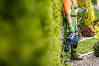 entretien des massifs à Dainville