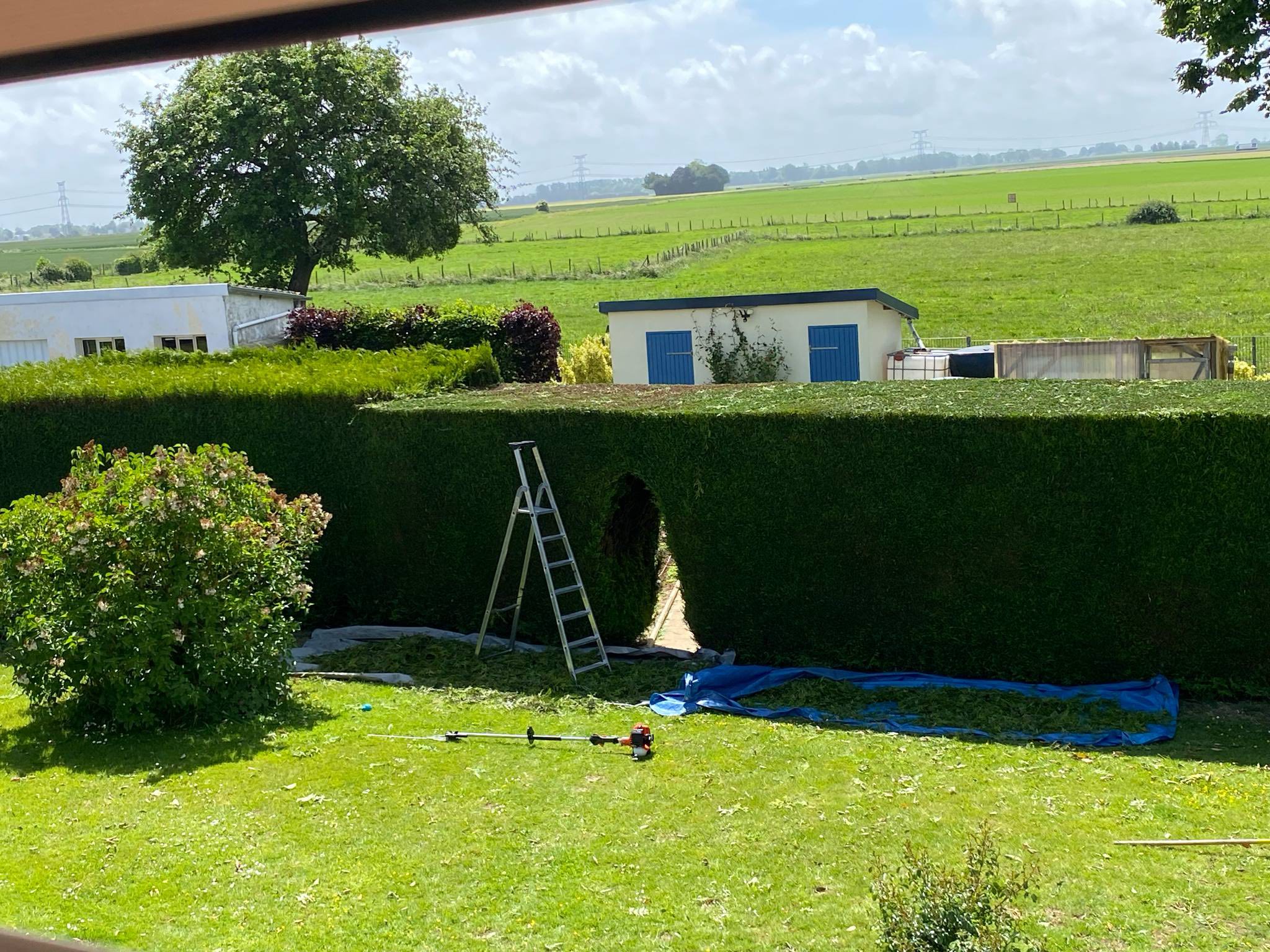 entreprise experte du paysagisme à Abbeville