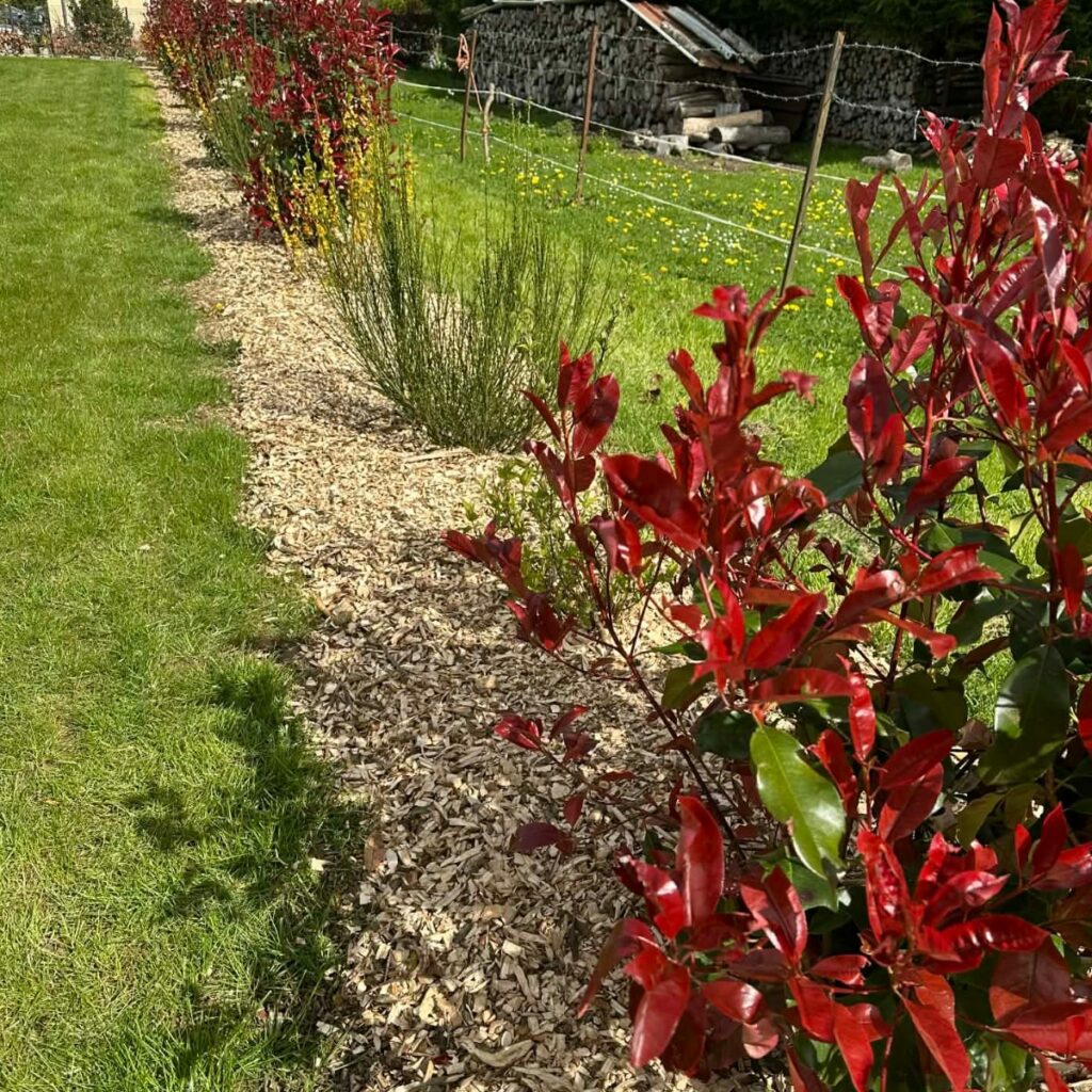 Entretien de jardin à Abbeville