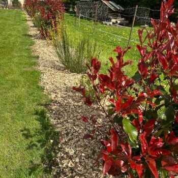 Entretien de jardin à Abbeville