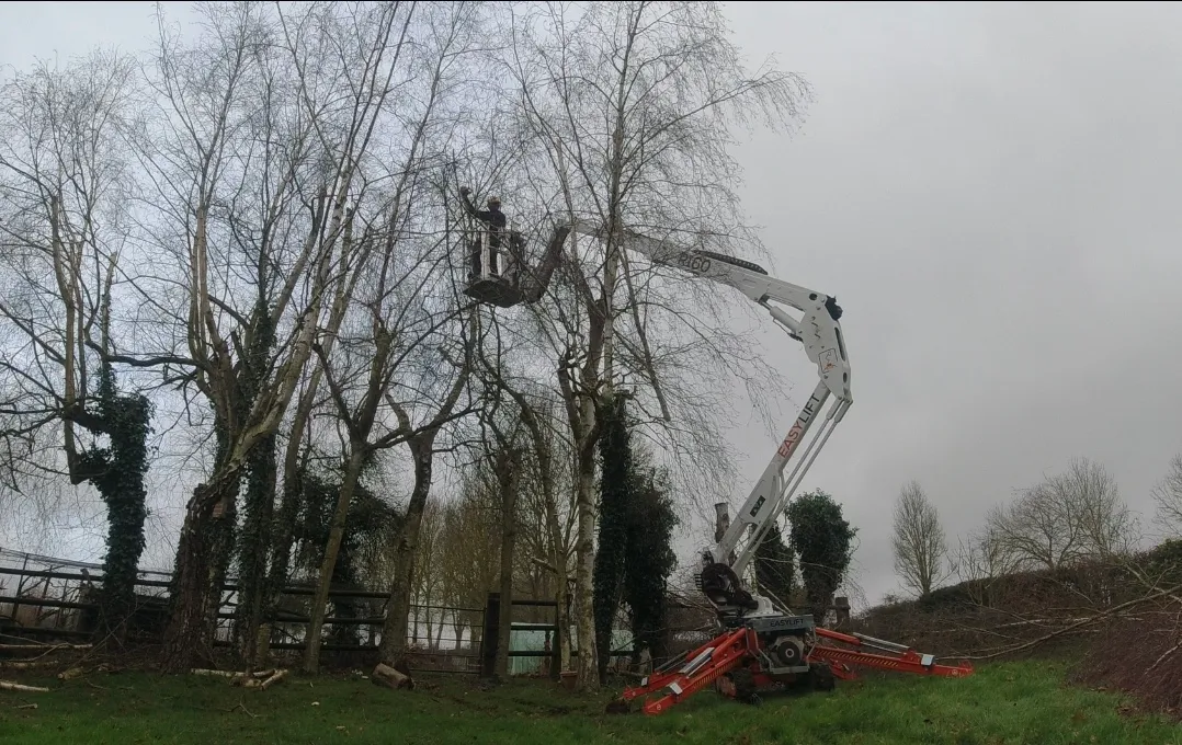 Paysagiste à Abbeville