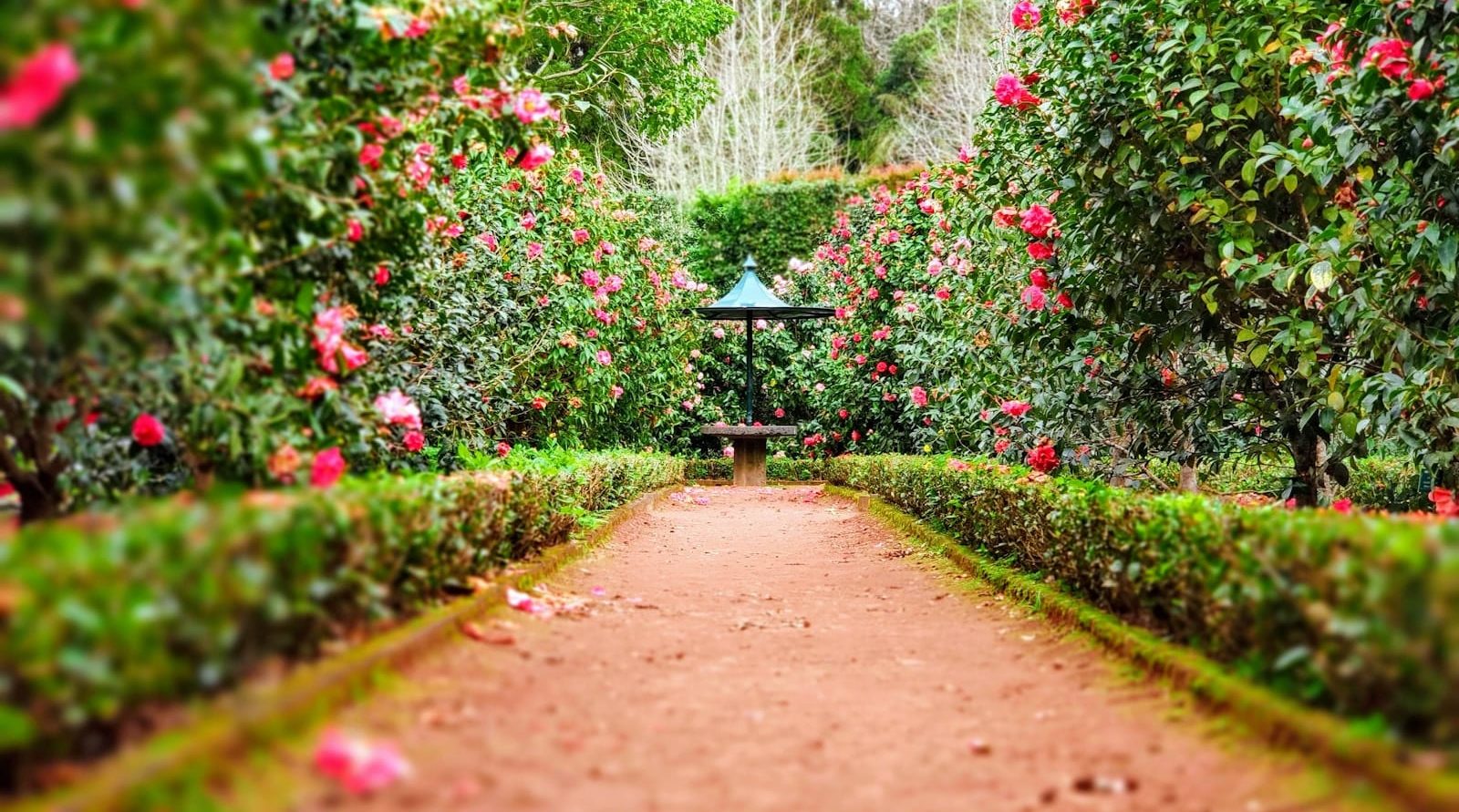 Paysagiste et jardinier à Poix-de-Picardie