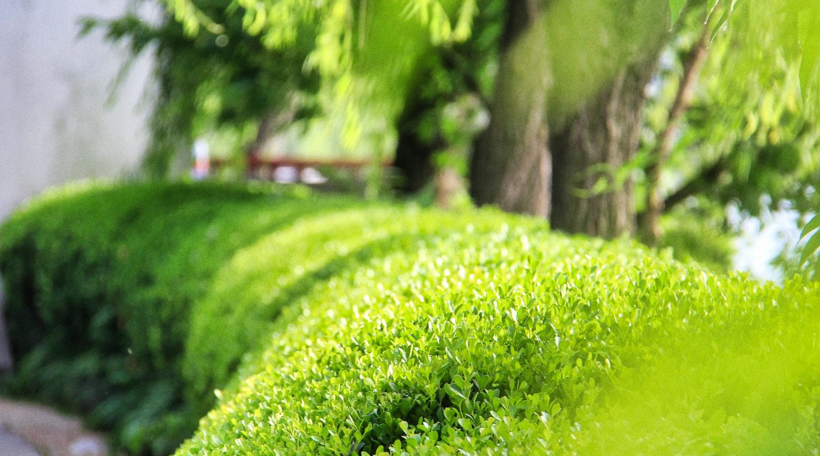 paysagiste et jardinier à Abbeville