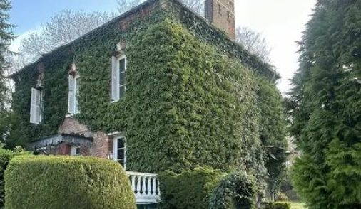Blog pratique paysagiste à Abbeville