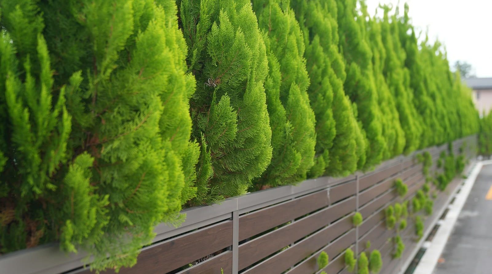 Services de jardinage à Oisemont