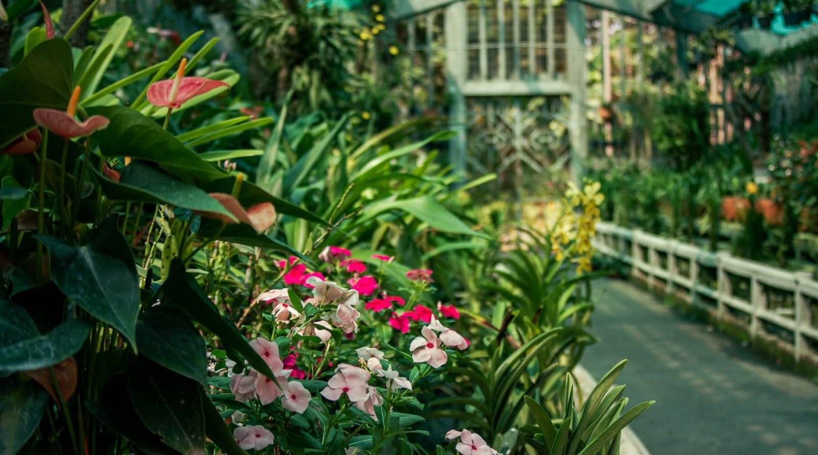 Jardinier et paysagiste incontournable à Abbeville