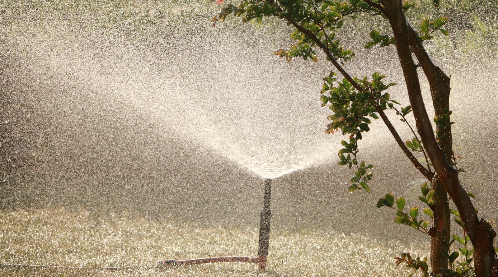 paysagiste et jardinier à Abbeville