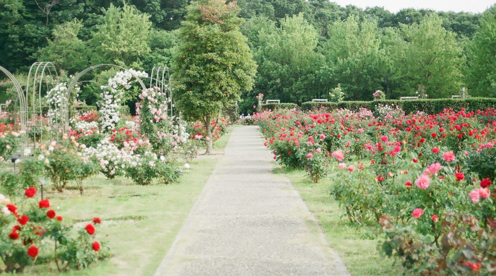 Jardinier et paysagiste incontournable à Abbeville