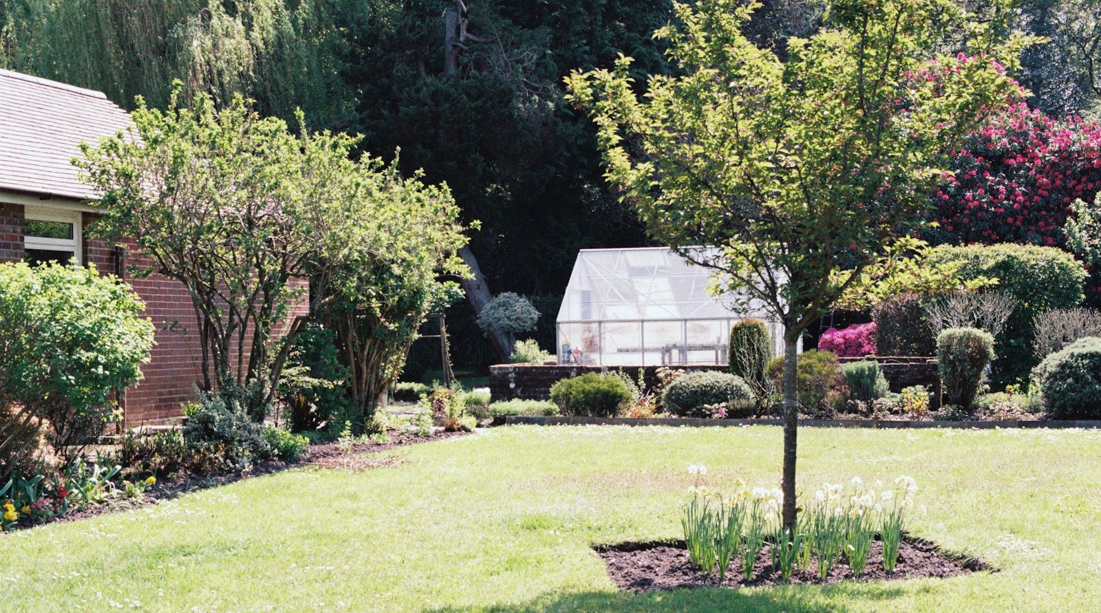 Création et aménagement de jardin à Abbeville